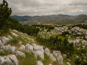 DSCN4638