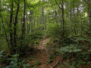 DSCN4663