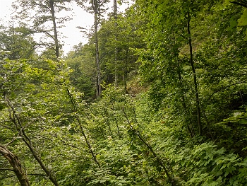 DSCN4664