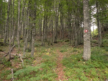 DSCN4665
