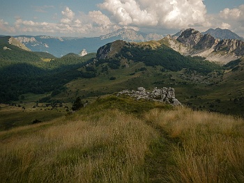 DSCN4713