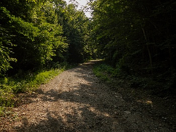 DSCN4746