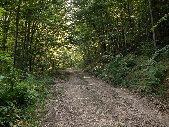 DSCN4749