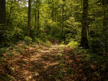 DSCN4763