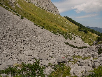 DSCN4795