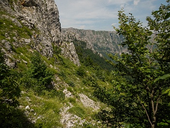 DSCN4799