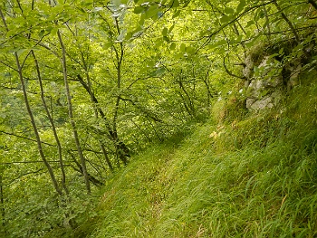 DSCN4861