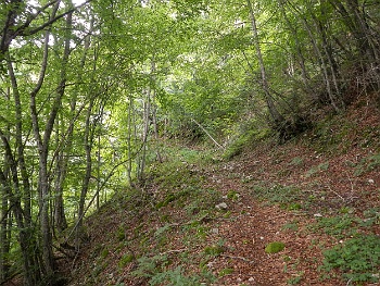 DSCN4867