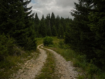 DSCN4896