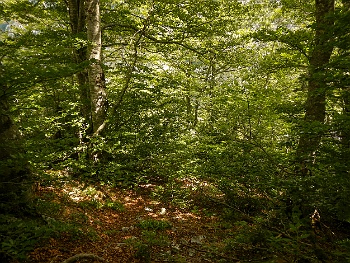 DSCN4995