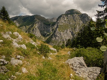 DSCN4997