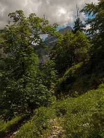 DSCN5001