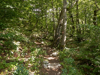 DSCN5021