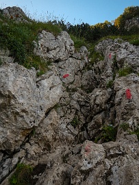 DSCN5041