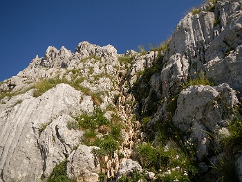 DSCN5048