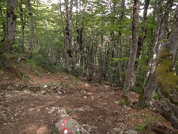 DSCN5091