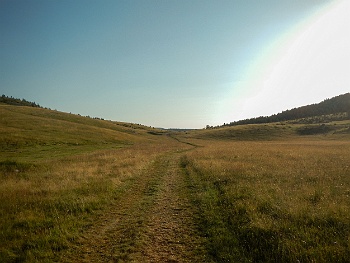 DSCN5108