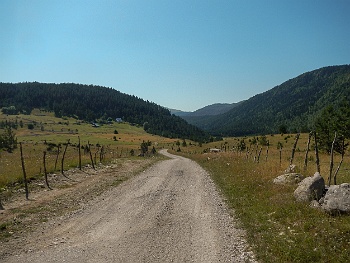 DSCN5127