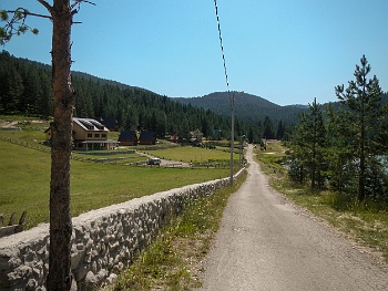 DSCN5153