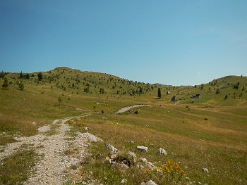 DSCN5165