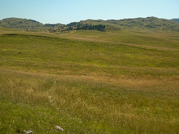 DSCN5186
