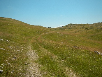 DSCN5195