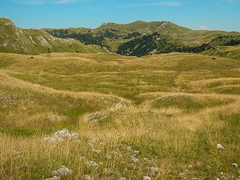 DSCN5220
