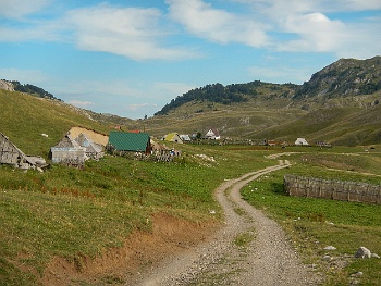 DSCN5231