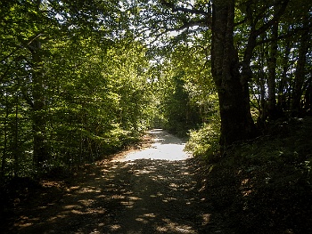DSCN5308
