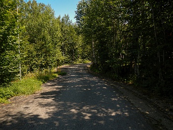 DSCN5312