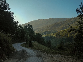 DSCN5332