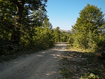 DSCN5389