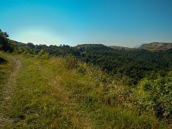 DSCN5393
