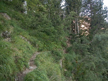 DSCN5447
