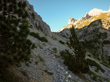 DSCN5457