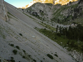 DSCN5458