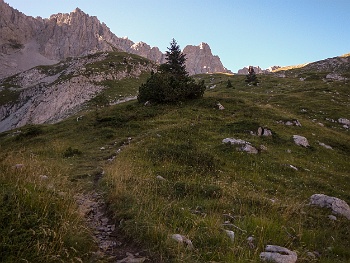 DSCN5462