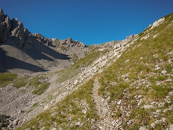 DSCN5463