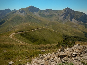 DSCN5483