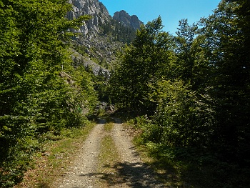 DSCN5489