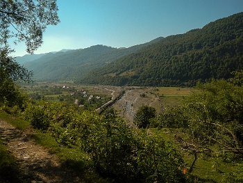 DSCN5523