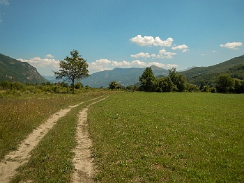 DSCN5564