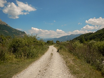 DSCN5565