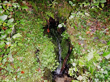 20230725-DSCN0501