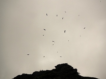 20230728-DSCN0535