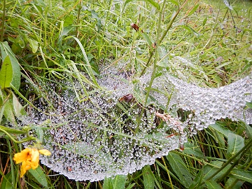 20230803-DSCN0581