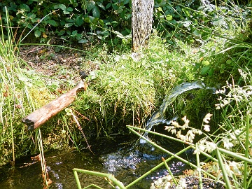20230809-DSCN0708