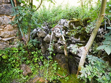20230810-DSCN0730