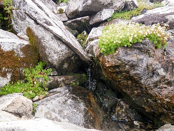 20230818-DSCN0943