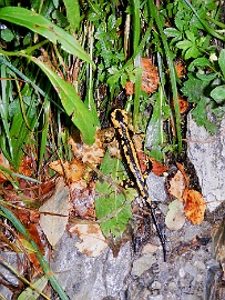 20230826-DSCN1250